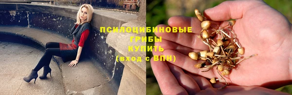 ECSTASY Абдулино